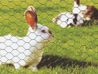 Pletivo pre domace zvierata, hydinu, sliepky, zajace, psov..