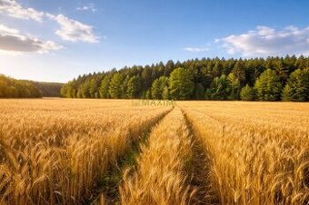 Pozemky v obci Lakšárska Nová Ves o celkovej výmere 35299m2