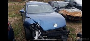 VW New Beetle - 1
