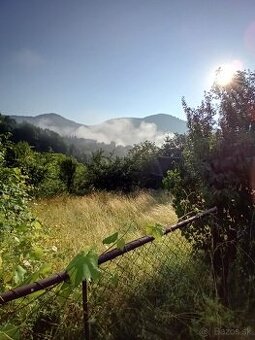 Údržba nehnuteľností, kosenie, výrez drevín, brány,zábradlia
