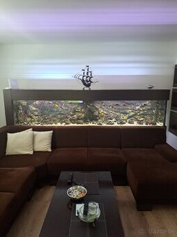 Akvarium 1300L