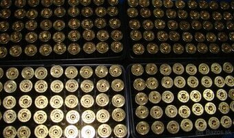 45-70 GOVERNMENT