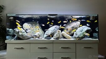 Akvarium set -Diversa Solid 200 rovný 720 l akváriový.
