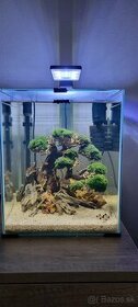 Akvarium shrimp 30l