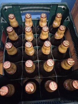 Pivo