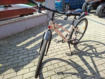 Dámsky bicykel