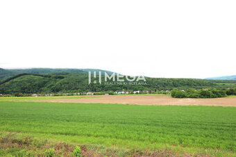 NA PREDAJ INVESTIČNÝ POZEMOK V OBCI ZEMPLÍNSKE HÁMRE 3114 m²