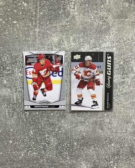 Hokejové kartičky Slováci v NHL - 1