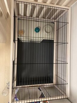 Klietka pre zajace a morčatá Arena 100, 100 x 62,5 x 51 cm