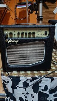 Epiphone Snakepit 15 G