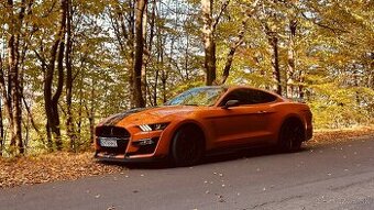 Predam original 2021 Mustang Shelby GT500 Gen.6