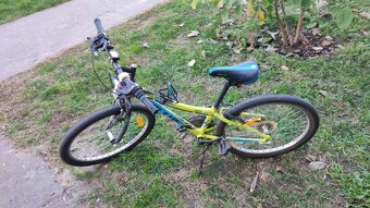 Kellys kitter 30 "24"