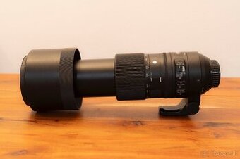 Sigma 150-600 Nikon