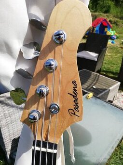Bass guitar