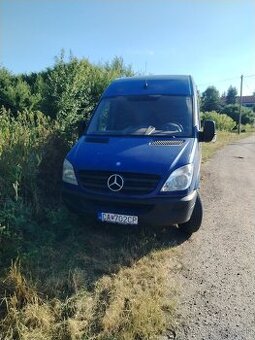 Sprinter