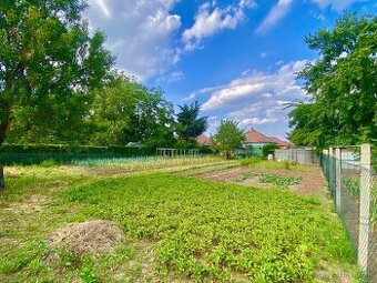 PREDAJ RD v Hornej Kráľovej, cca 80 m2