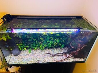 101x41x50 Akvárium aj stolik