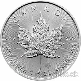 Investičné mince Maple leaf 1oz (2020)