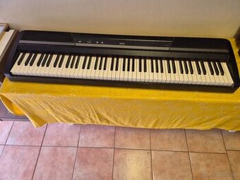 Korg SP-170-S