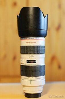 Canon EF 70-200mm F/2.8 L USM