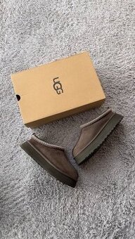 UGG Tazz Slipper Molasses (W)