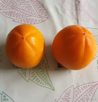 Predám domáce Hurmikaki