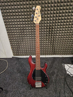 bassgitara Sterling by Music Man 5 str.