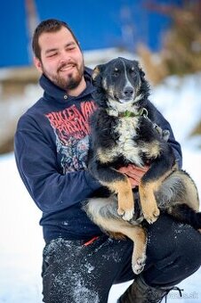 Darujem šikovné kučeravé šteniatko - mix border kólia