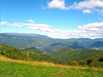 Filier – 9.746 m2 LESNÉ POZEMKY v pozemkových úpravách