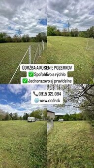 Kosenie, mulčovanie, frézovanie pňov, preprava, vypratávanie