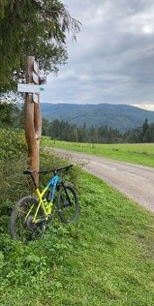 Trek X-Caliber 9