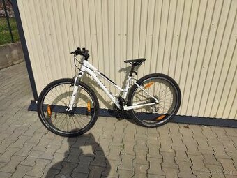 Specialized Ariel