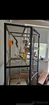 Klietka + vtáctvo