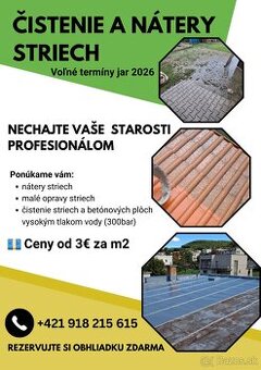 Výškové práce a nátery striech – obhliadky zdarma