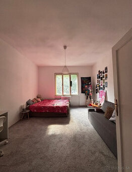 HĽADÁM SPOLUBÝVAJÚCEHO, 220€/MESIAC‼️, QUEER FRIENDLY