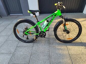Kellys mark 50