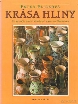 Ester Plicková - Krása hliny