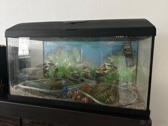 Akvárium 60L - 1