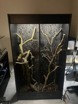 Terarium pre stromove hady