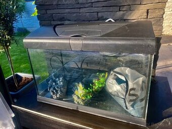 Akvarium