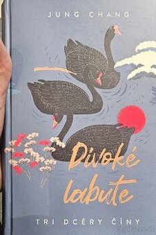 Kniha "Divoké labute"