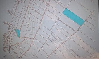 Orná pôda 8695 m² na predaj Danišovce.