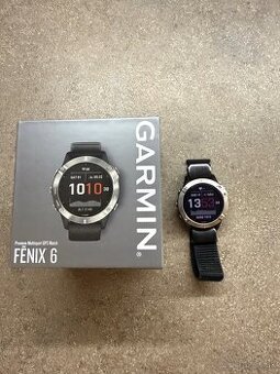 Garmin Fenix 6