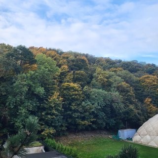 Realitný kancelária REALADR s.r.o.