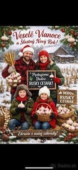 Domáci dedov -Ruský cesnak paličiak fialovy