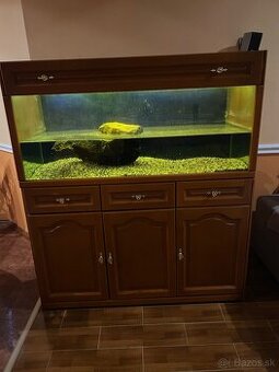 Akvárium so skrinkou