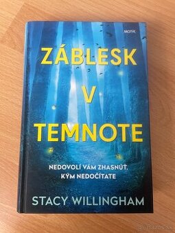 Záblesk v temnote - Stacy Willingham - 1