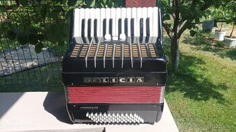 Harmonika -Akordeon.Delícia Junior 60 basová.