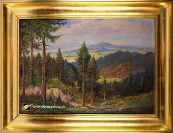 Obraz Neznámy autor-Pohľad do krajiny
