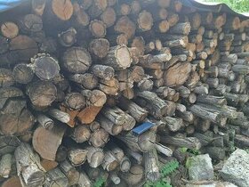 Tvrdé suché palivové drevo Agát